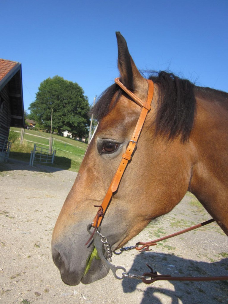 Bride Western E Muller Equipement Equestre