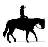Matériel équitation balade, concours et western - HKM by Horsemania